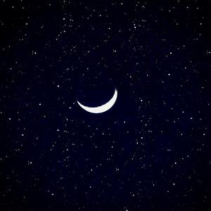 海棠威客楼凤论坛
